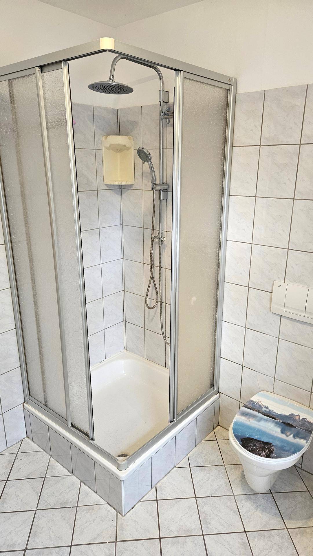 Duschkabine mit Regenduschkopf und WC in einem gefliesten Badezimmer, funktional und sauber.