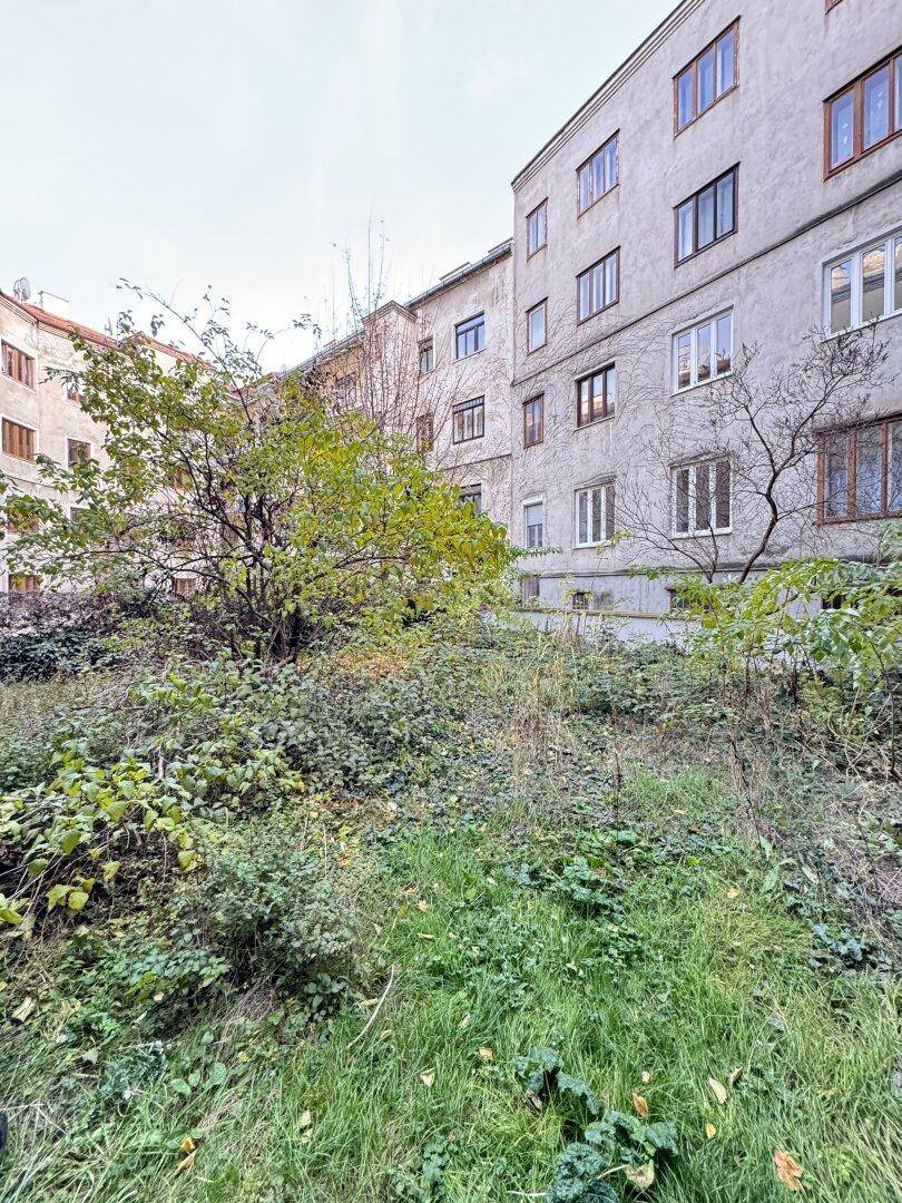 Ein verwilderter Gartenbereich mit viel Grün und Bäumen, umgeben von alten Gebäuden.