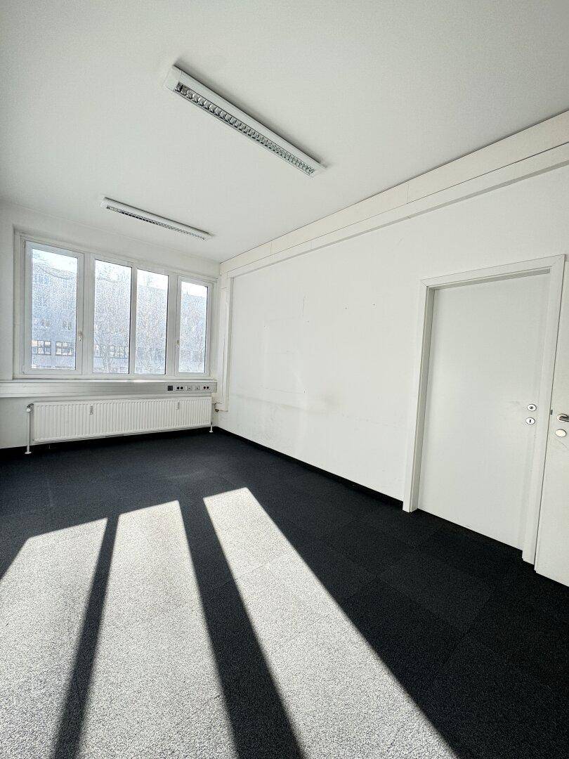 Helles, leeres Büro mit Teppichfliesen, großen Fenstern und Heizkörpern unter den Fenstern.