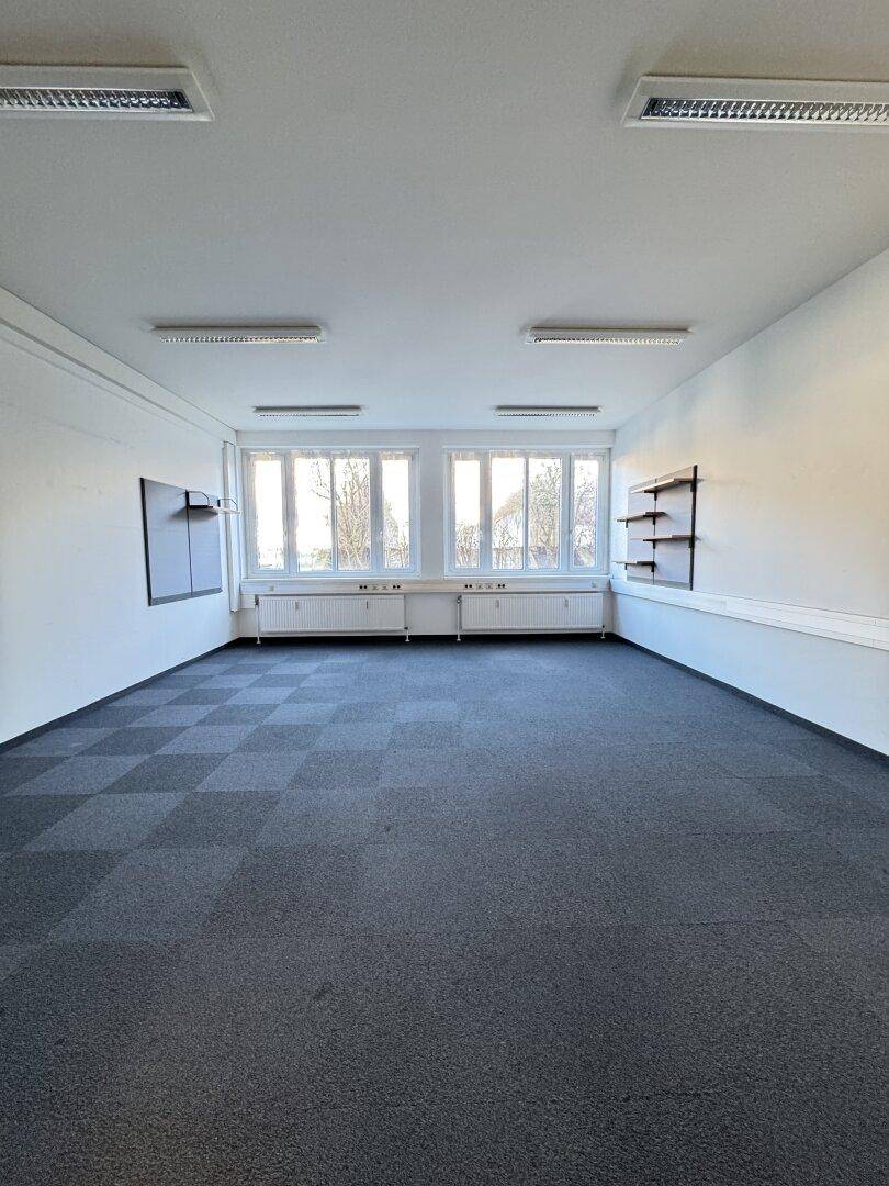 Helles, leeres Büro mit Teppichfliesen, großen Fenstern und Wandregalen.