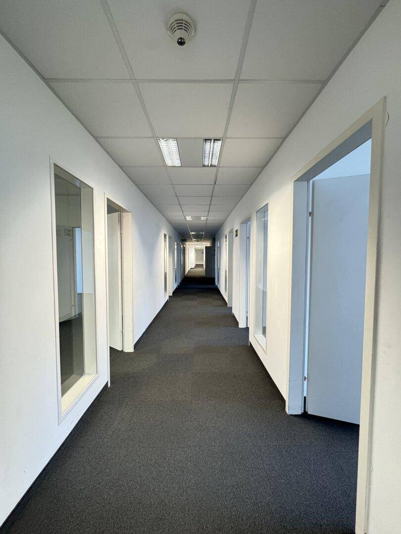 Langer Flur mit Teppichfliesen, weißen Wänden und Deckenbeleuchtung, der zu Büros führt.