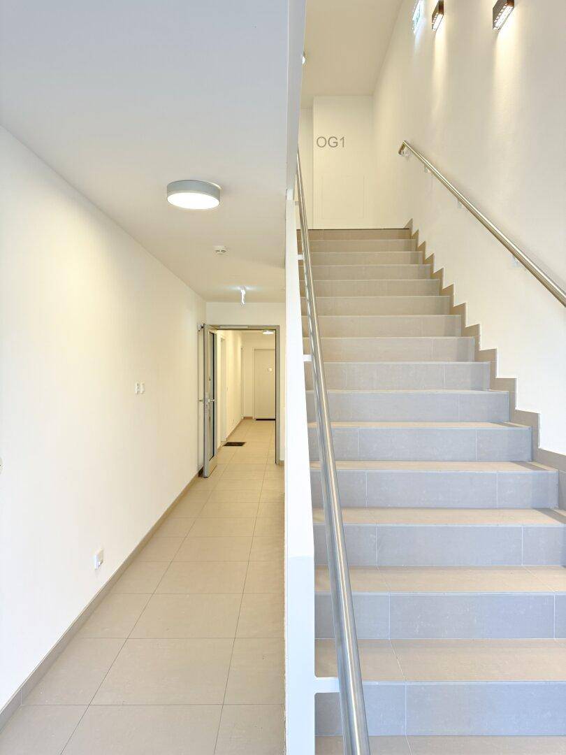 Heller Treppenaufgang und Flur in einem Mehrfamilienhaus mit modernen Wandleuchten.