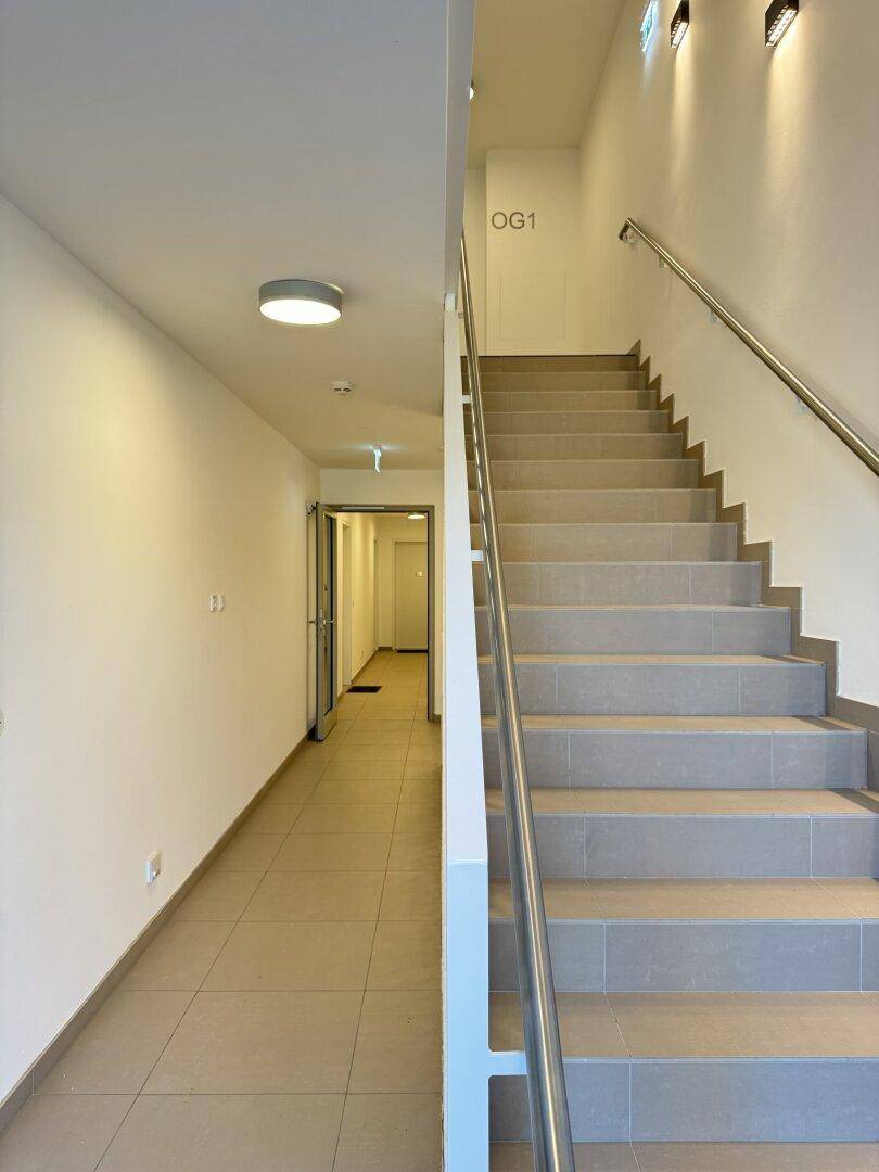 Heller Treppenaufgang und Flur in einem Mehrfamilienhaus mit modernen Wandleuchten.