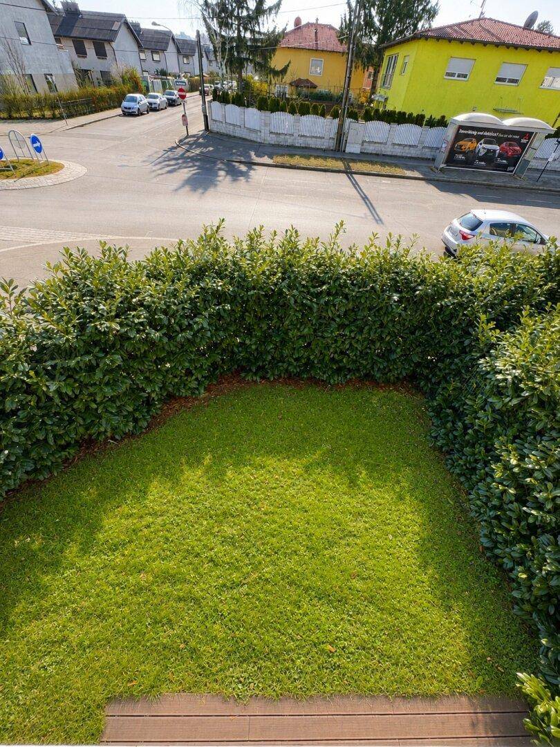 Kleiner Gartenbereich mit Rasen und Hecke, angrenzend an eine ruhige Wohnstraße.