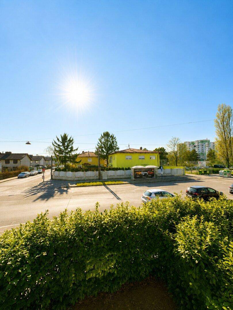 Sonnige Straßenansicht mit umliegenden Häusern und viel Grün in einer Wohngegend.