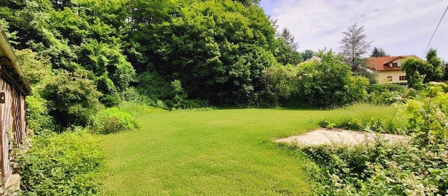 Naturbelassene Grünfläche mit üppiger Vegetation und einem Haus in der Ferne.