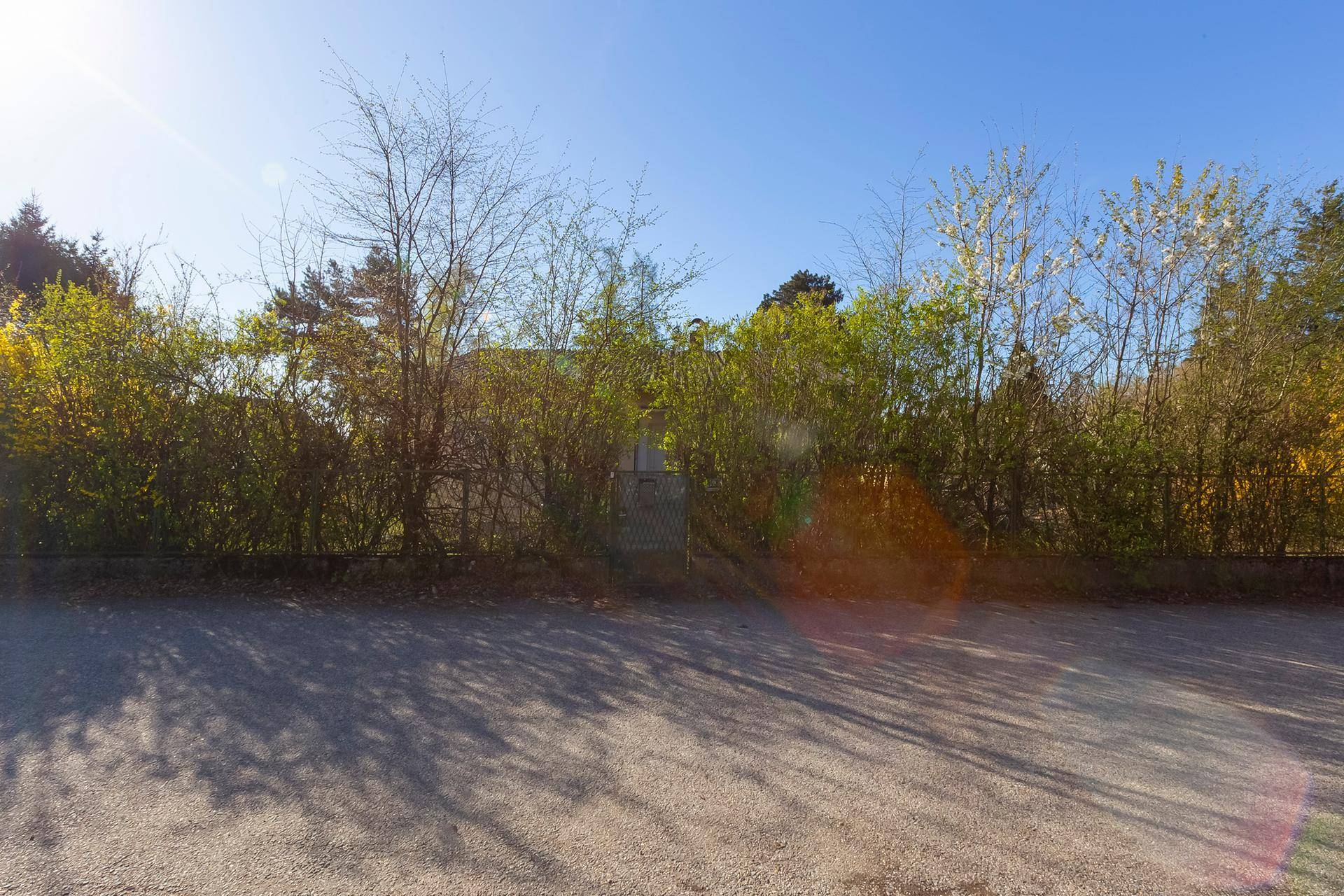 Grüne Hecke und Zaun entlang einer asphaltierten Straße unter blauem Himmel.