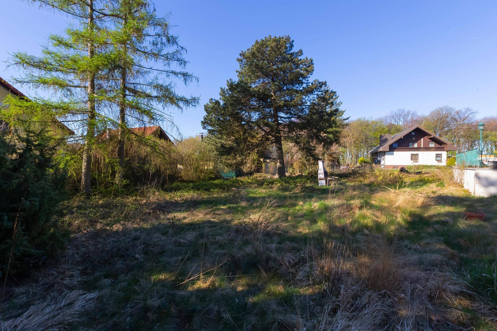 Großes, offenes Gartengrundstück mit Bäumen und einer weiten Aussicht auf die Umgebung.