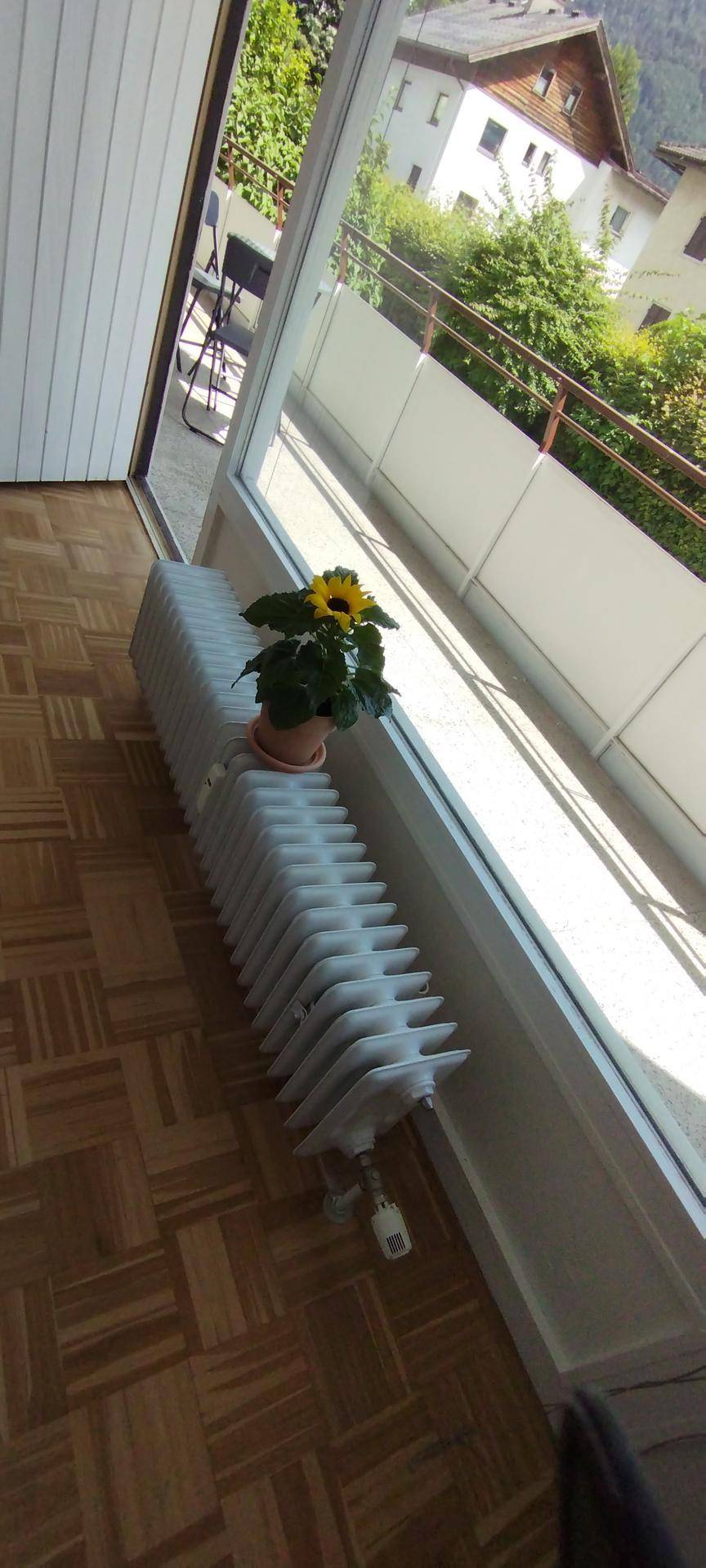 Detailansicht des Fensters mit Heizkörper, Topfpflanze und Blick auf die umliegende Wohngegend.