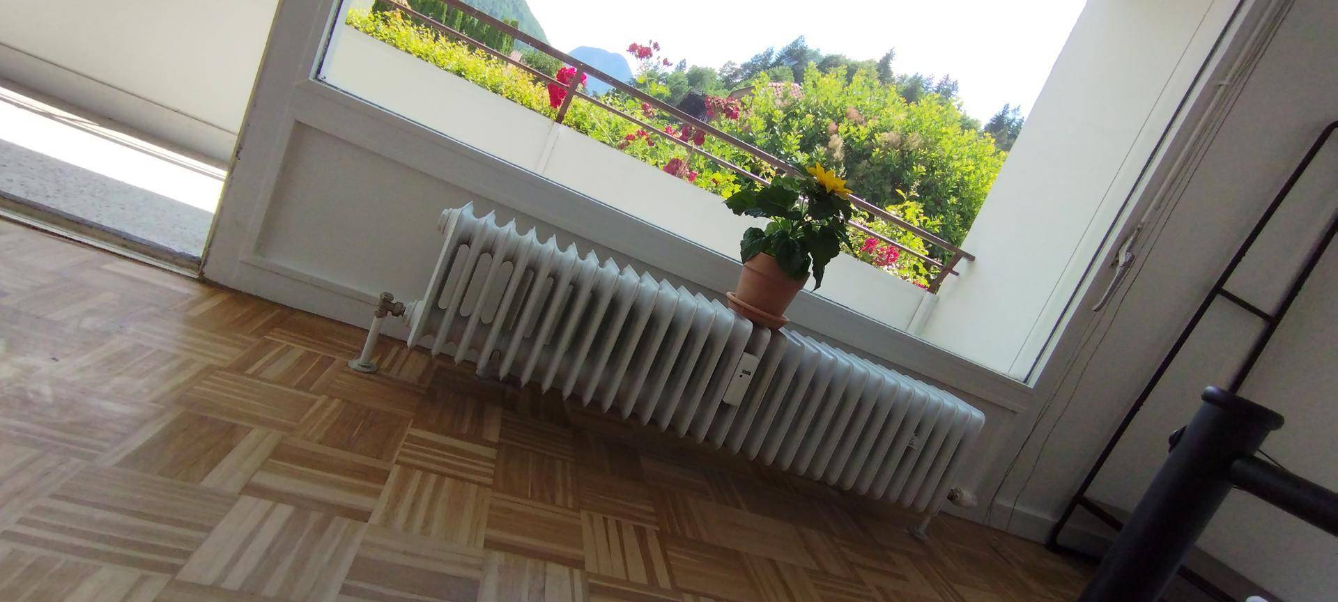Detailaufnahme des Fensters mit Heizkörper und Topfpflanze, die den Blick ins Grüne ergänzt.