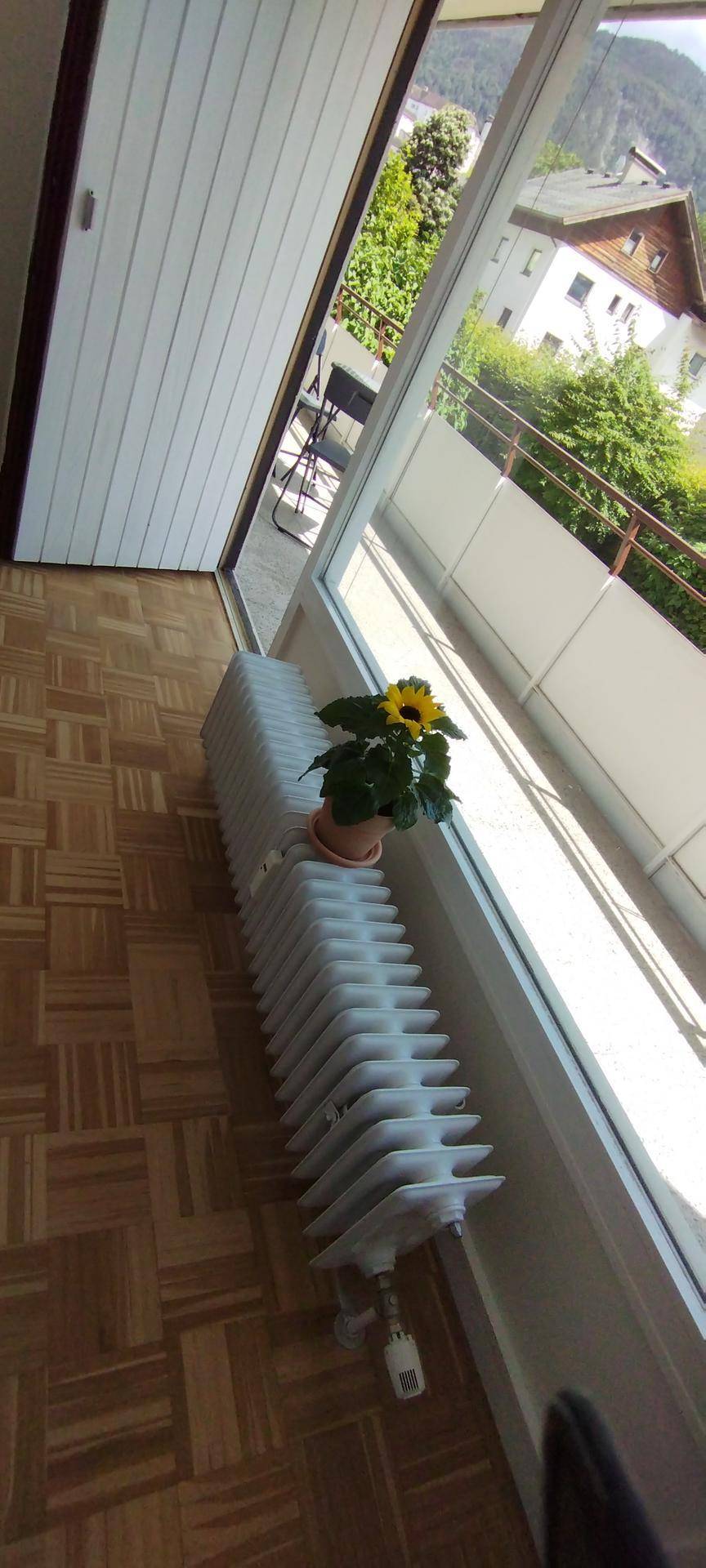 Fensterbereich mit Heizkörper und Topfpflanze, bietet einen Ausblick auf die umliegenden Häuser und Bäume.
