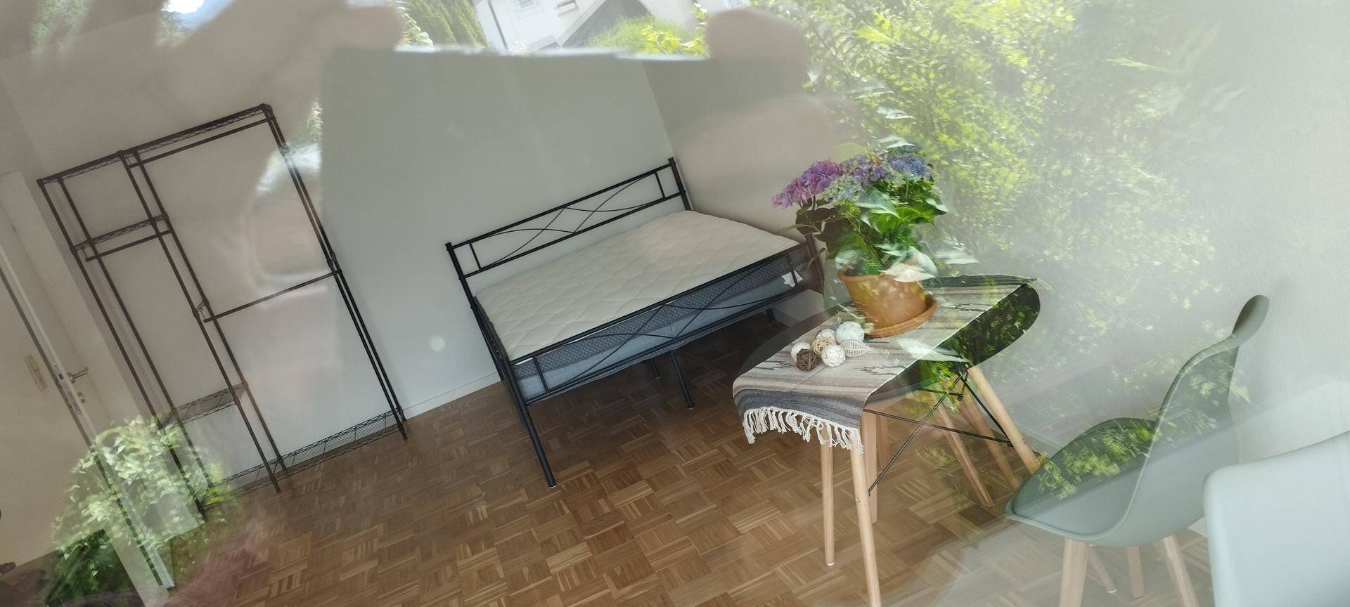 Heller Wohnraum mit Parkettboden, Bett und Topfpflanze.