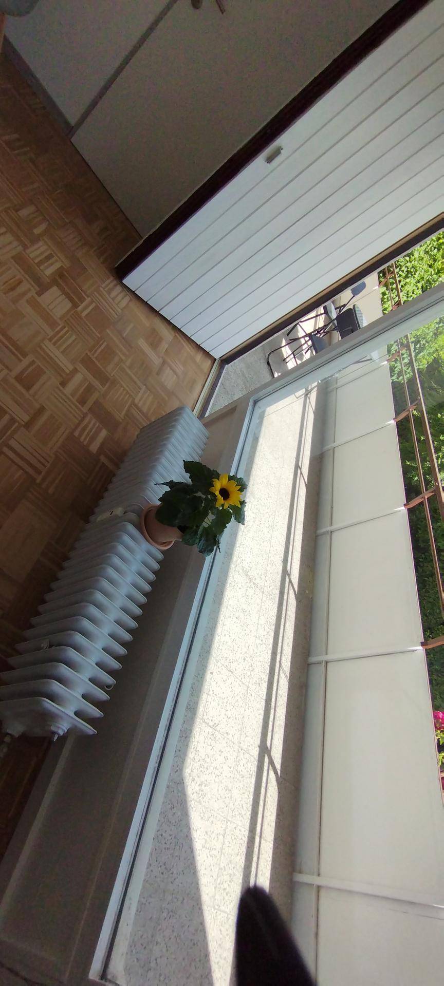 Blick vom Innenraum auf den Balkon mit heller Bodenfläche und schützendem Geländer.