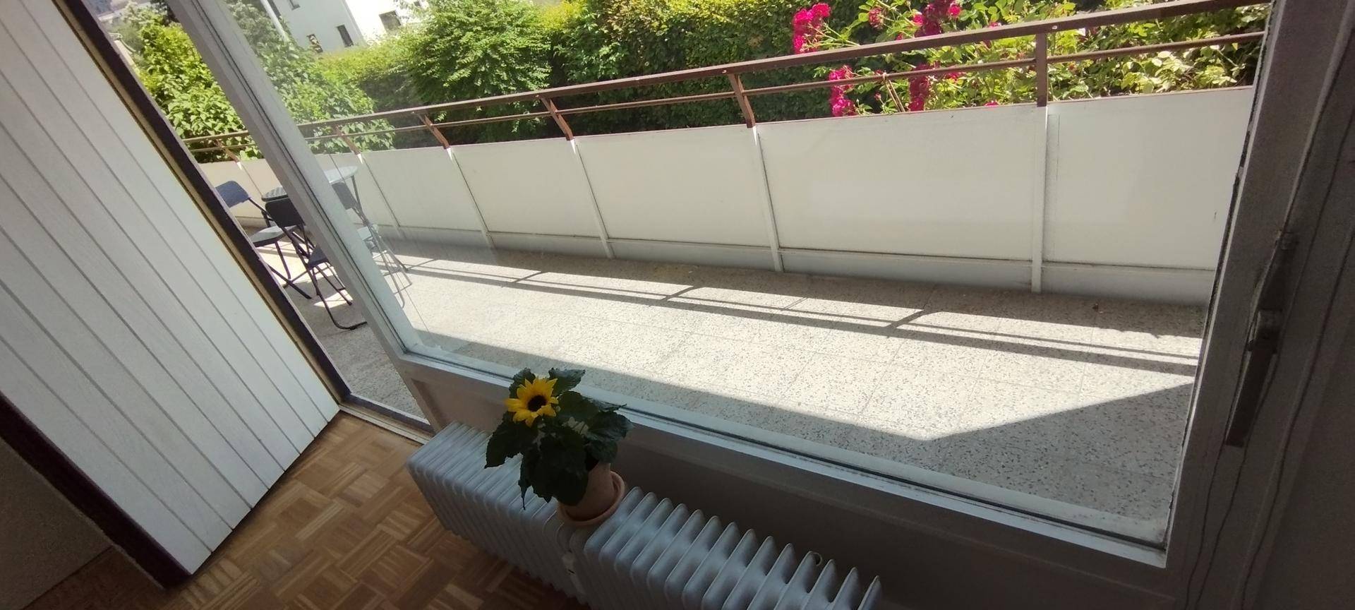 Blick vom Innenraum auf den Balkon mit heller Bodenfläche und schützendem Geländer.