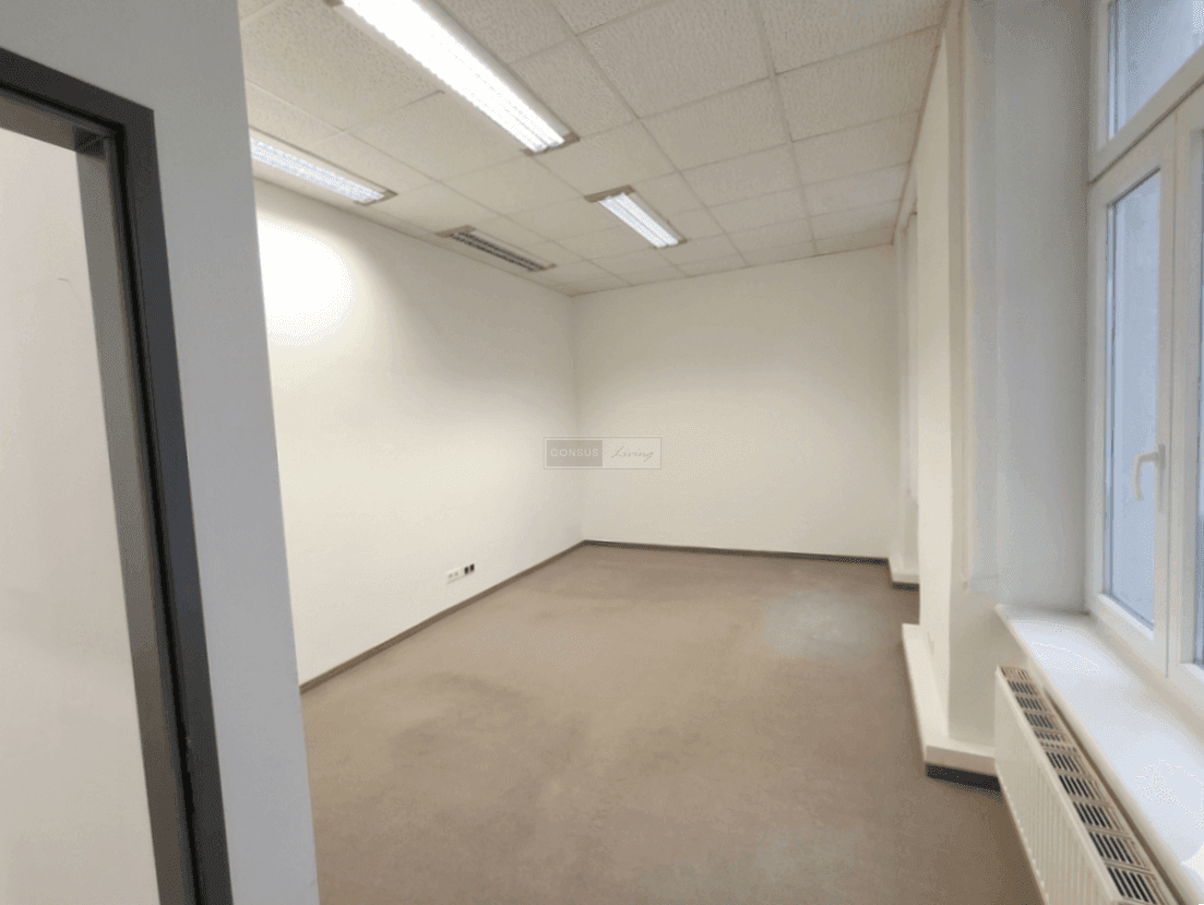 Leerer Büroraum mit Teppichboden, weißen Wänden und Deckenleuchten, bereit für die Einrichtung.