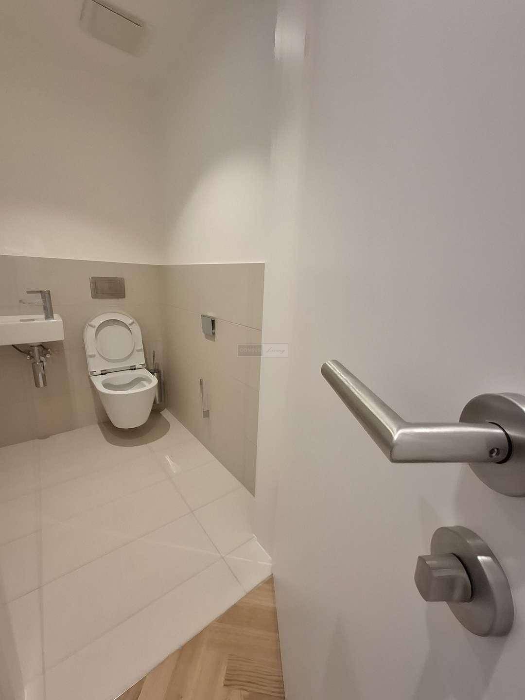 Kleines Gäste-WC mit wandhängender Toilette und modernem Handwaschbecken.