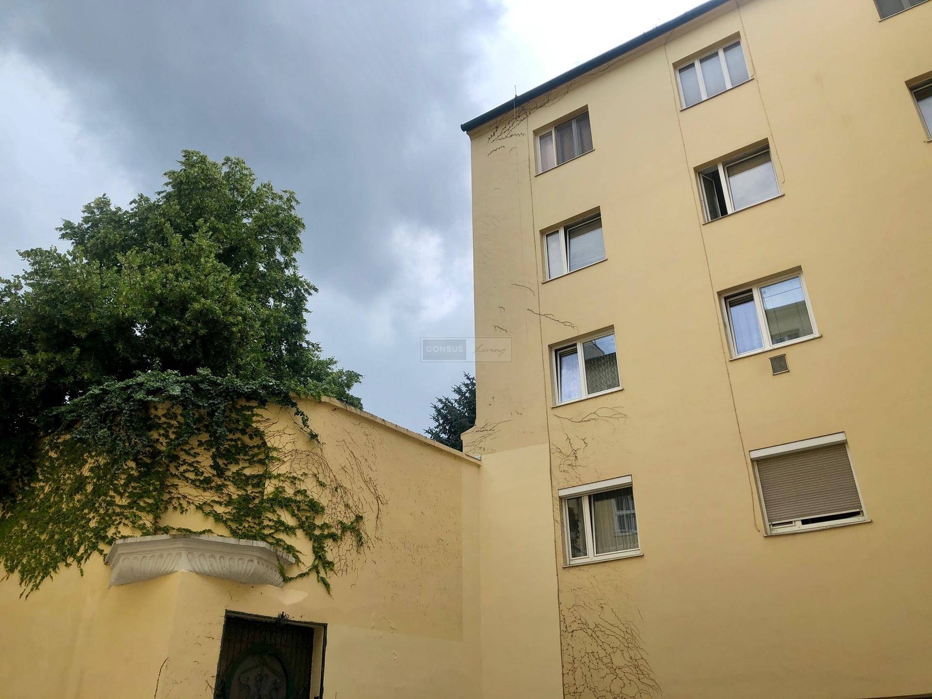 Haus