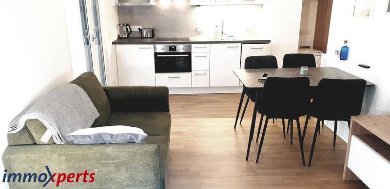 Offener Wohn-Essbereich mit Sofa, Esstisch und integrierter Küchenzeile, sehr funktional.