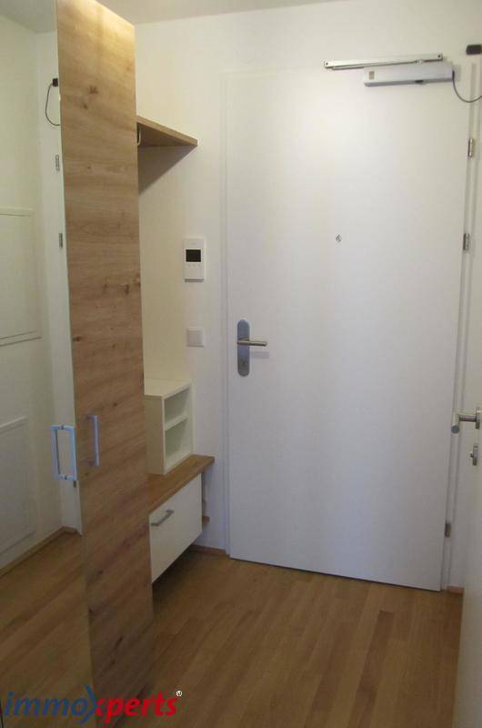 Heller Eingangsbereich mit Holzboden und Garderobenschrank in modernem Design.