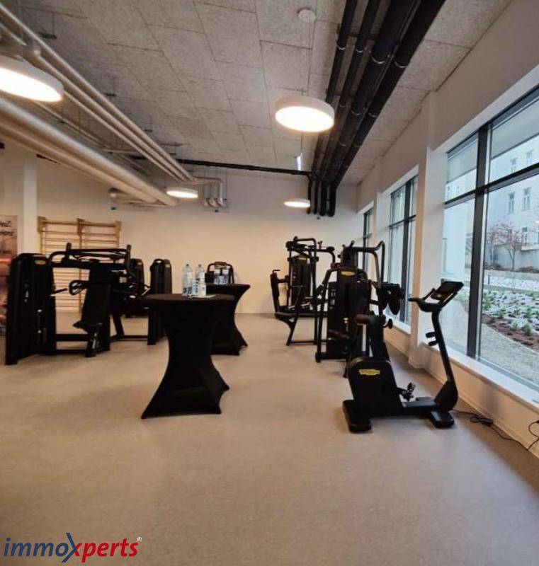 Moderner Fitnessraum mit verschiedenen Trainingsgeräten und großen Fenstern, gut ausgestattet.