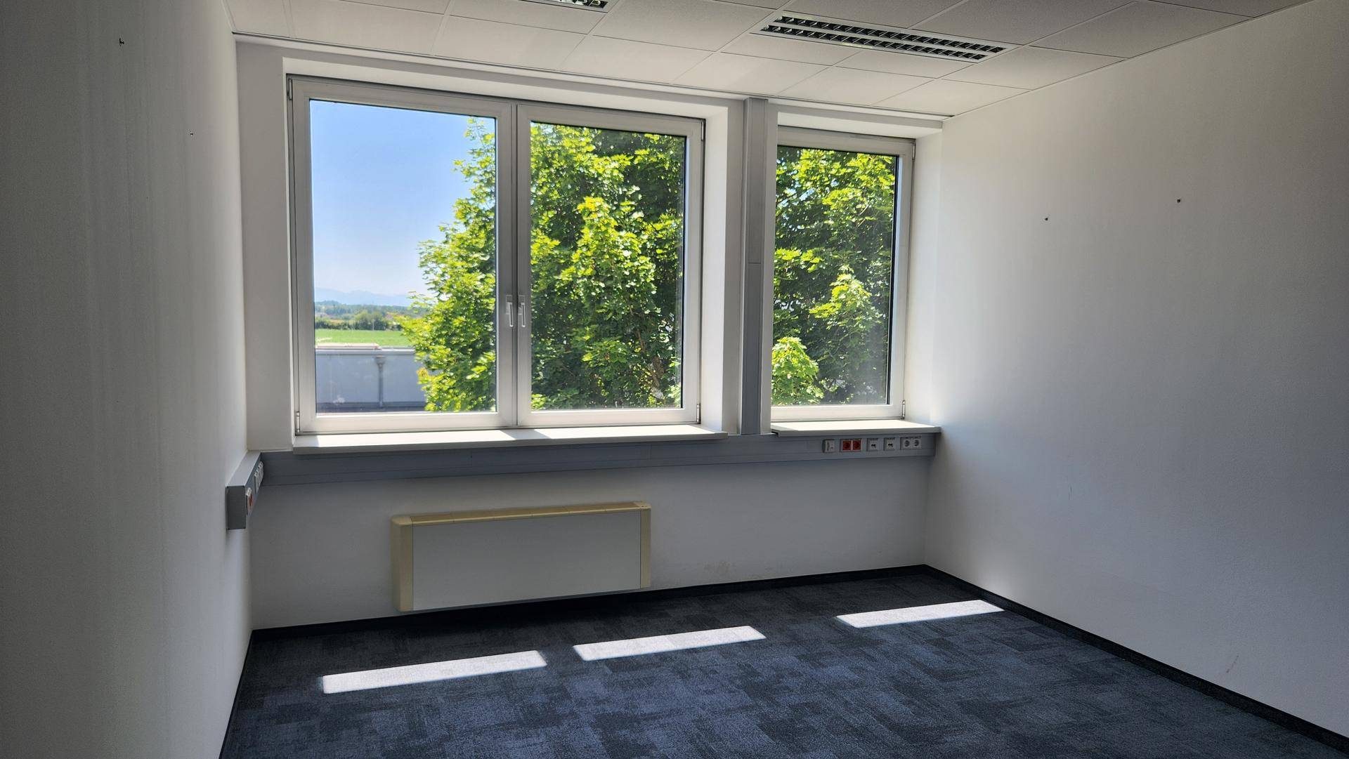 Moderne Bürofläche in bester Lage – nahe Haid Center &amp; A1 - Ansicht 4