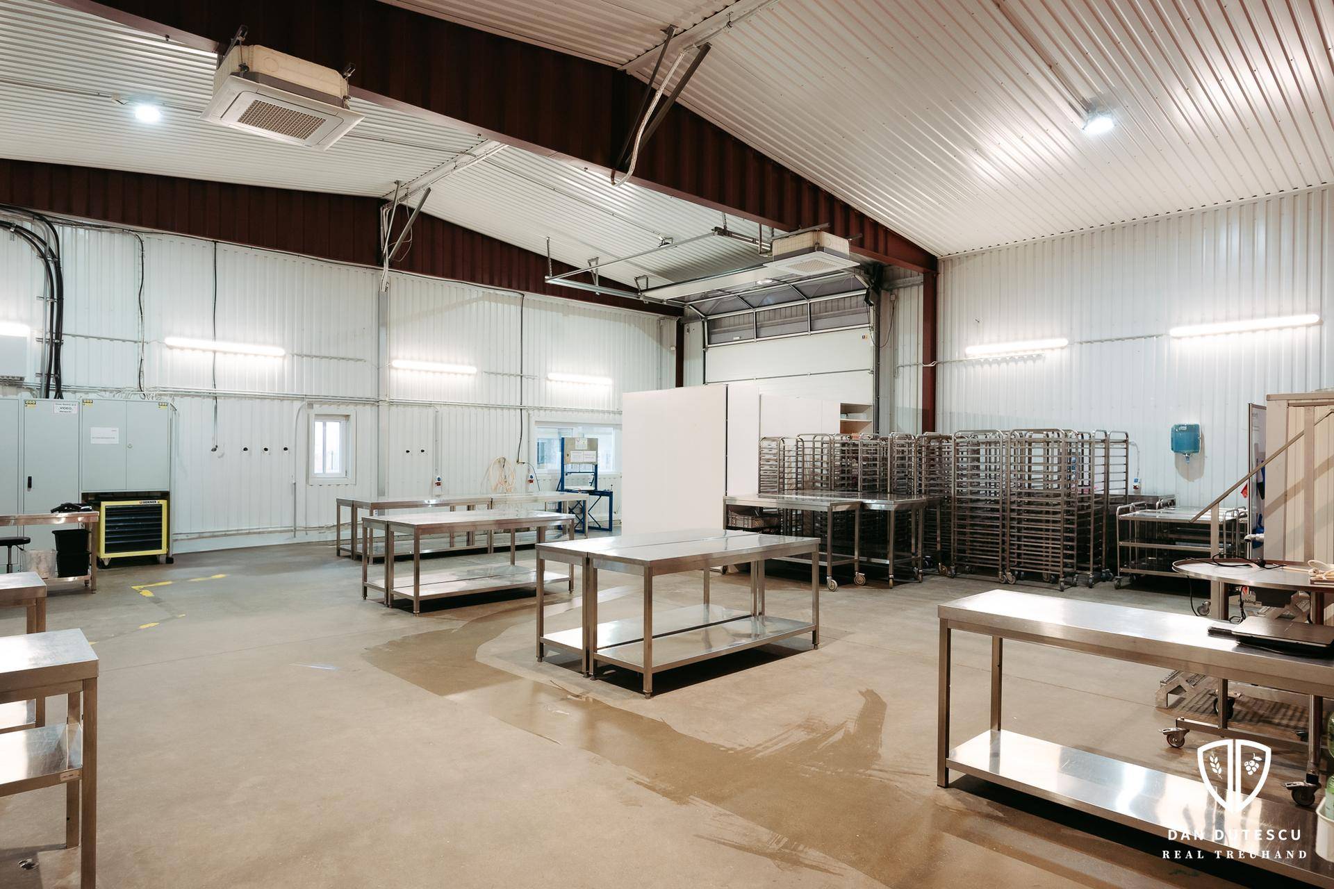 Weitläufige Industriehalle mit mehreren Edelstahltischen und einem großen Rolltor, bereit für gewerbliche Nutzung.