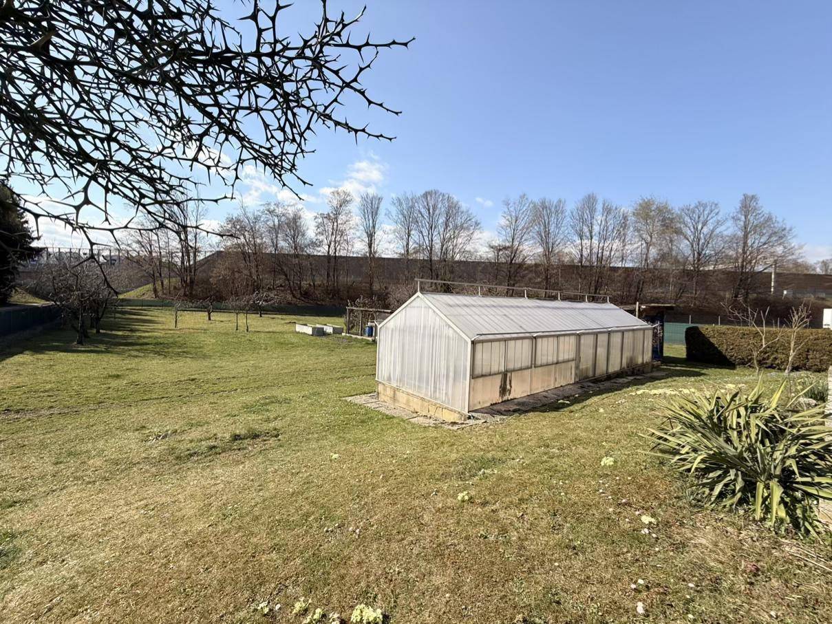 Großer Gartenbereich mit einem Gewächshaus und Bäumen im Hintergrund unter klarem, blauem Himmel.