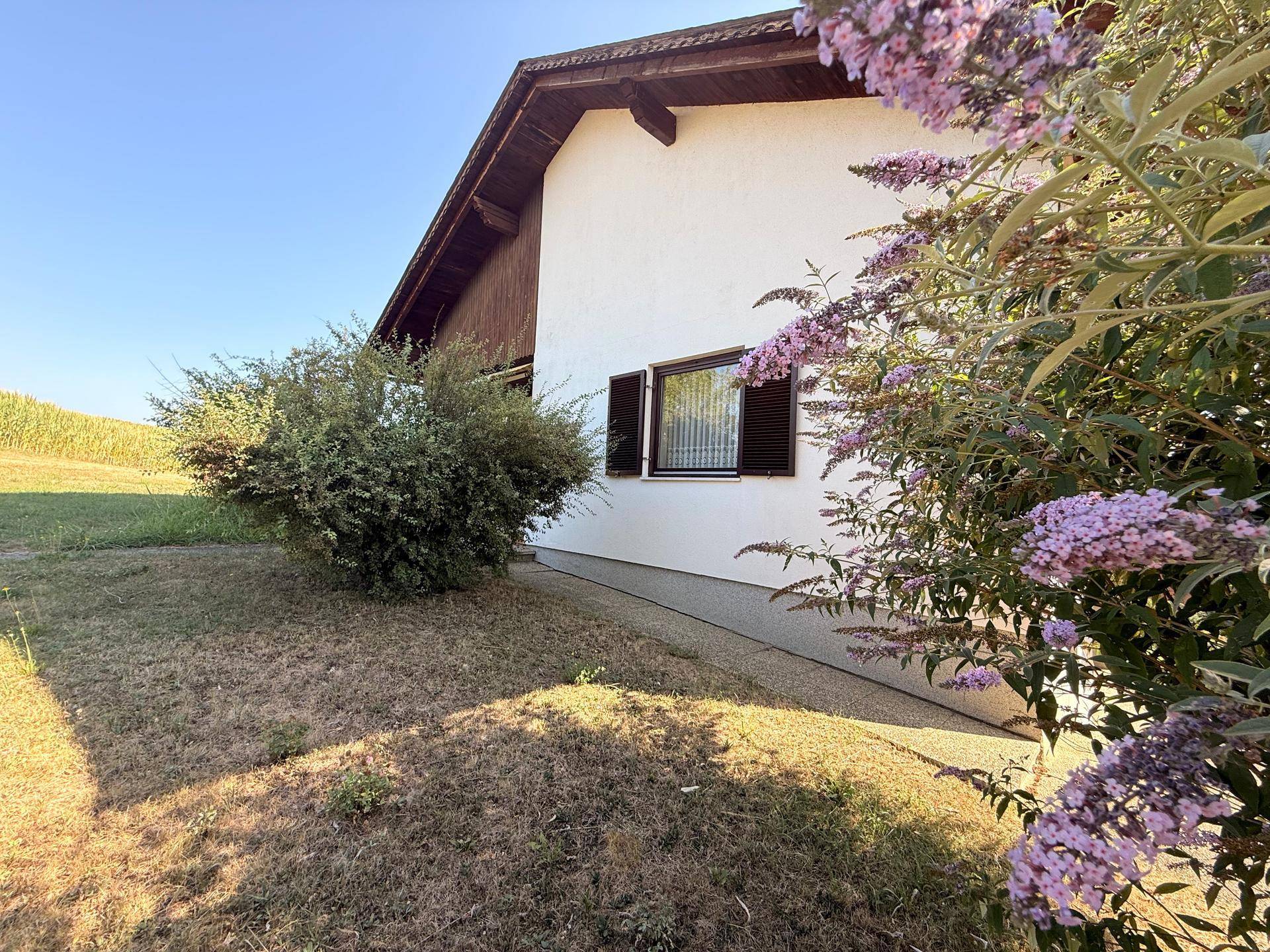 Seitenansicht des Hauses mit Fensterläden und blühenden Büschen im Vorgarten.