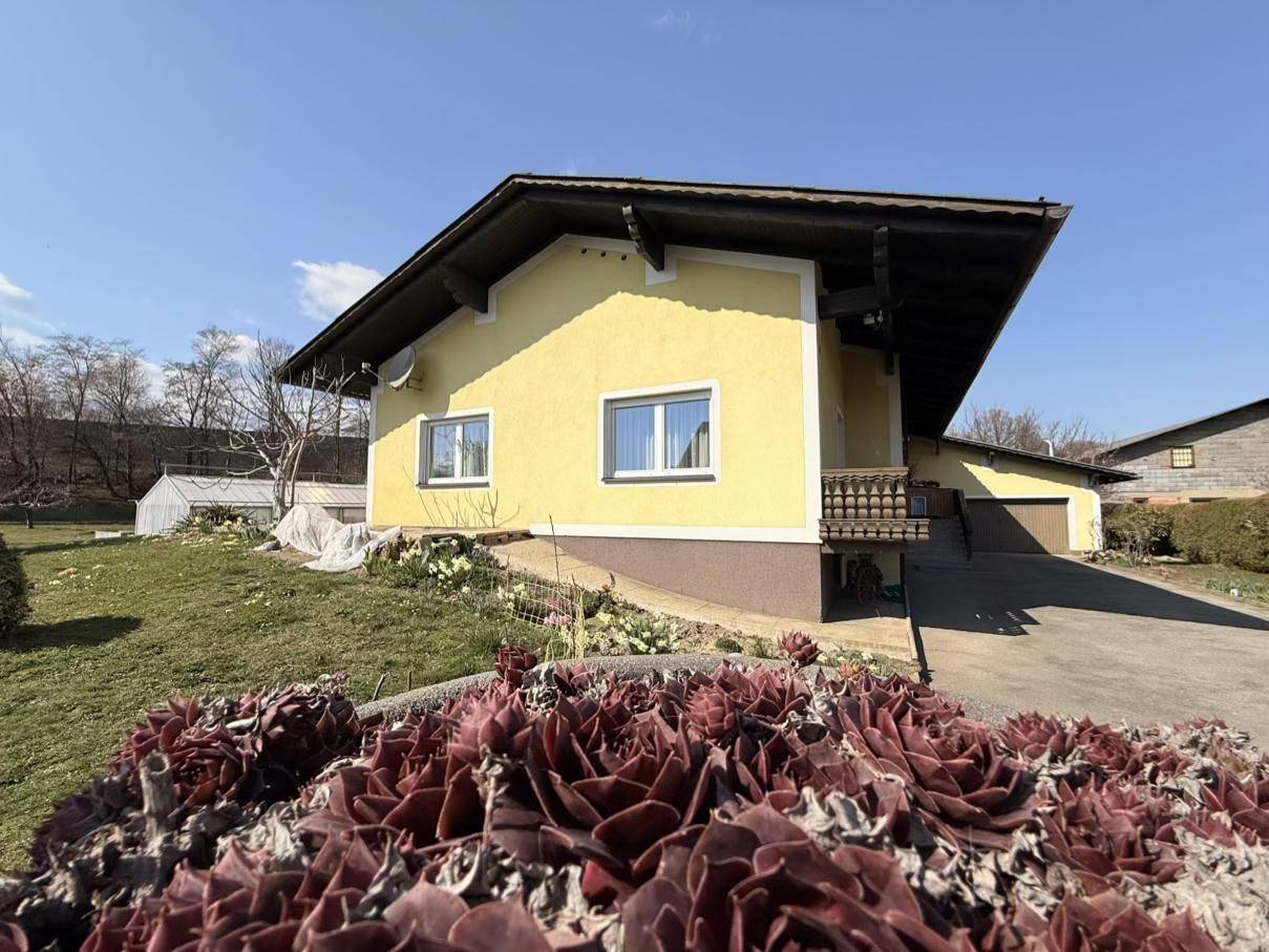 Seitenansicht des gelben Hauses mit Sukkulenten im Vordergrund und einem grünen Rasen unter blauem Himmel.