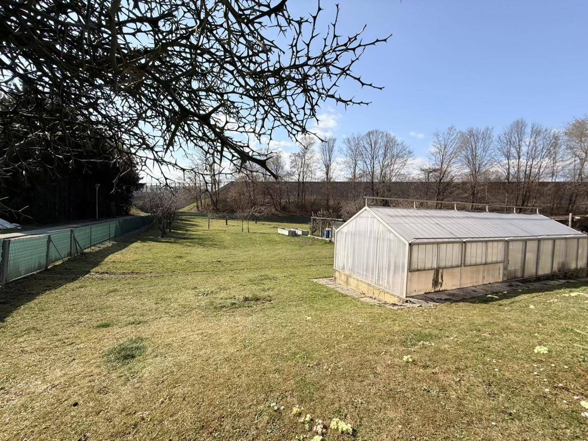 Großer Gartenbereich mit einem Gewächshaus und Bäumen im Hintergrund unter klarem, blauem Himmel.