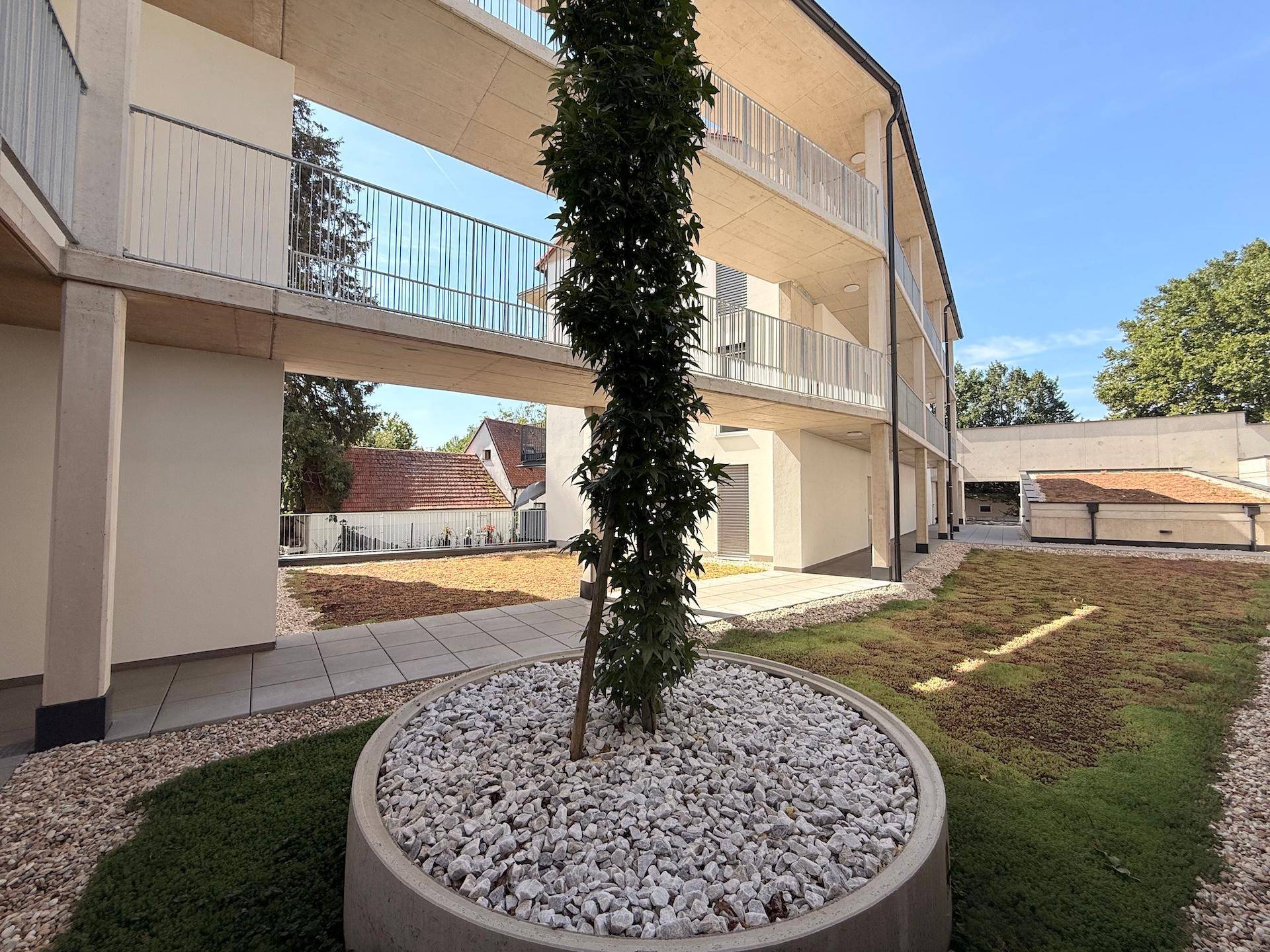 Begrünter Innenhof mit einem jungen Baum in einem runden Pflanzgefäß und Kiesbett.