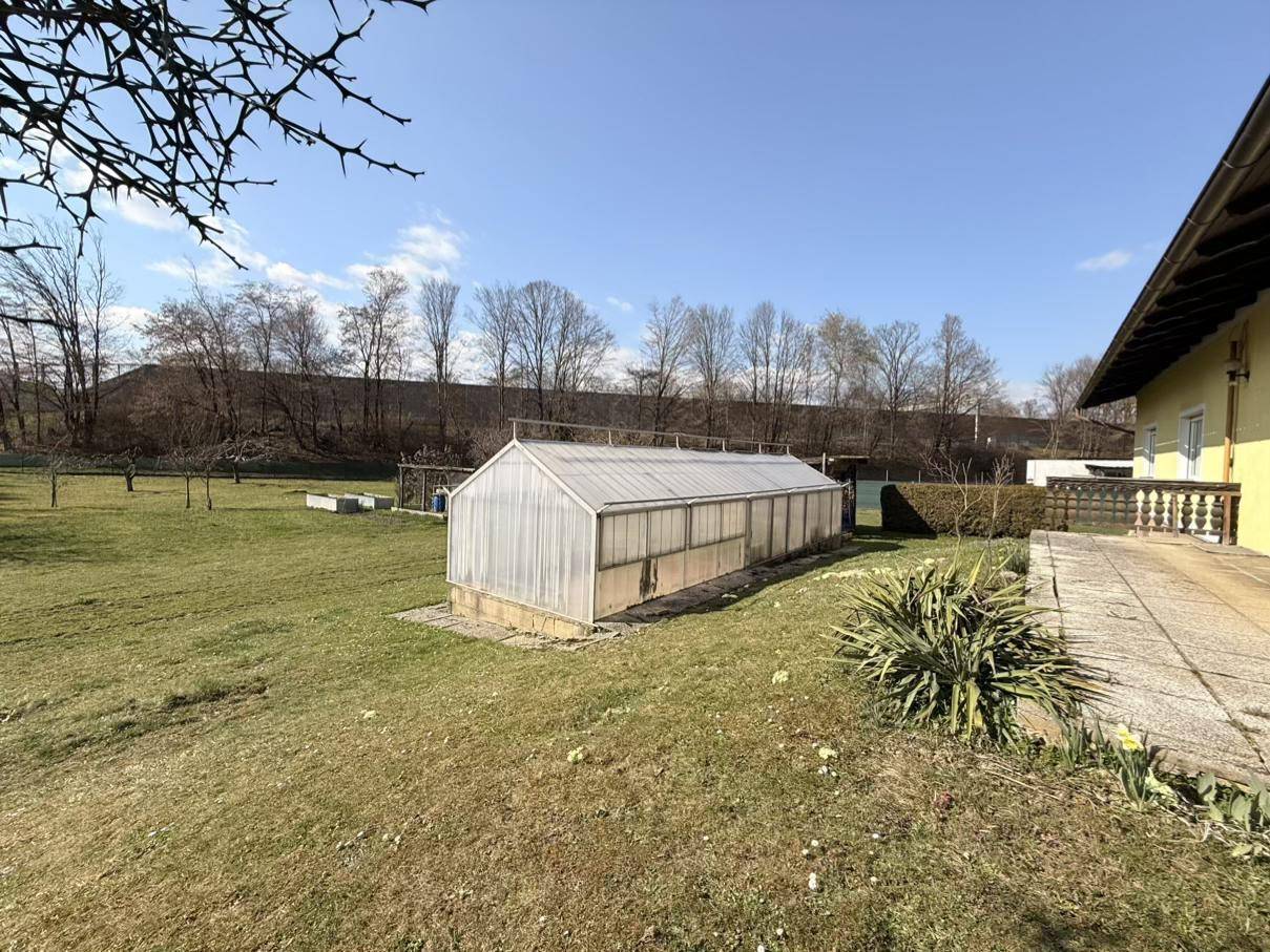 Großer Gartenbereich mit einem Gewächshaus und Bäumen im Hintergrund unter klarem, blauem Himmel.