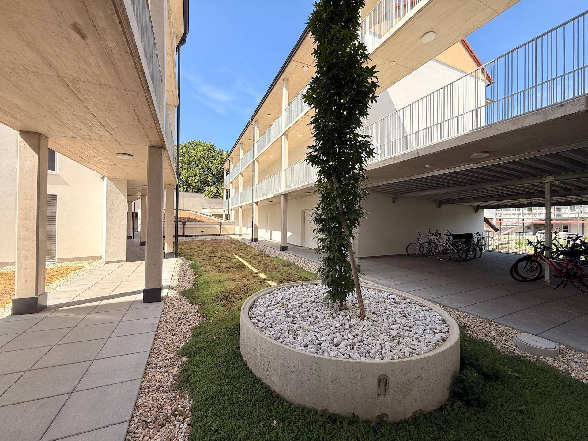 Heller Innenhof mit gepflasterten Wegen, einem jungen Baum und dem modernen Gebäude.