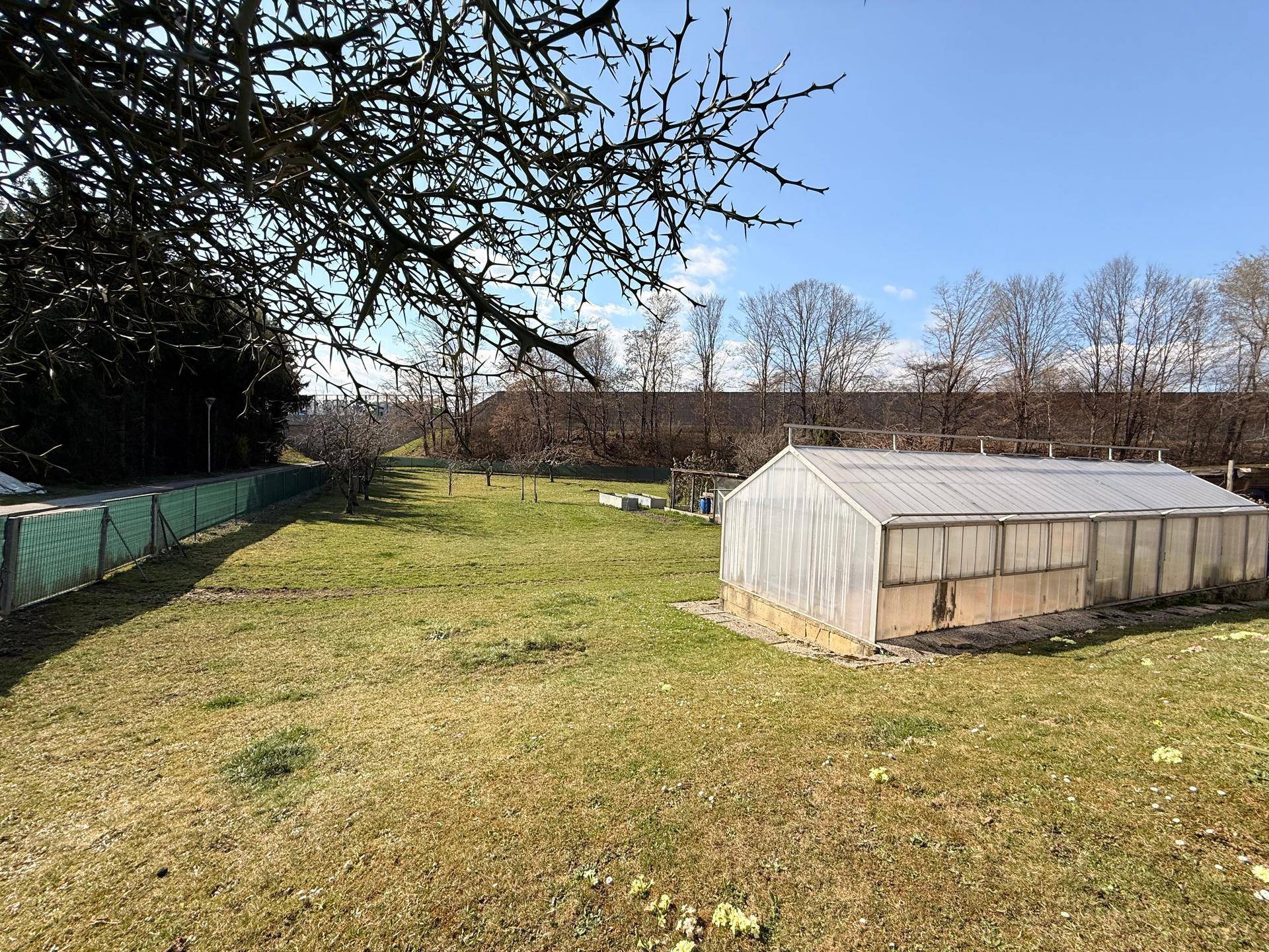 Großer Gartenbereich mit einem Gewächshaus und Bäumen im Hintergrund unter klarem, blauem Himmel.