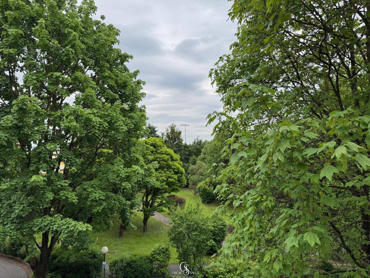 Ausblick in den Park