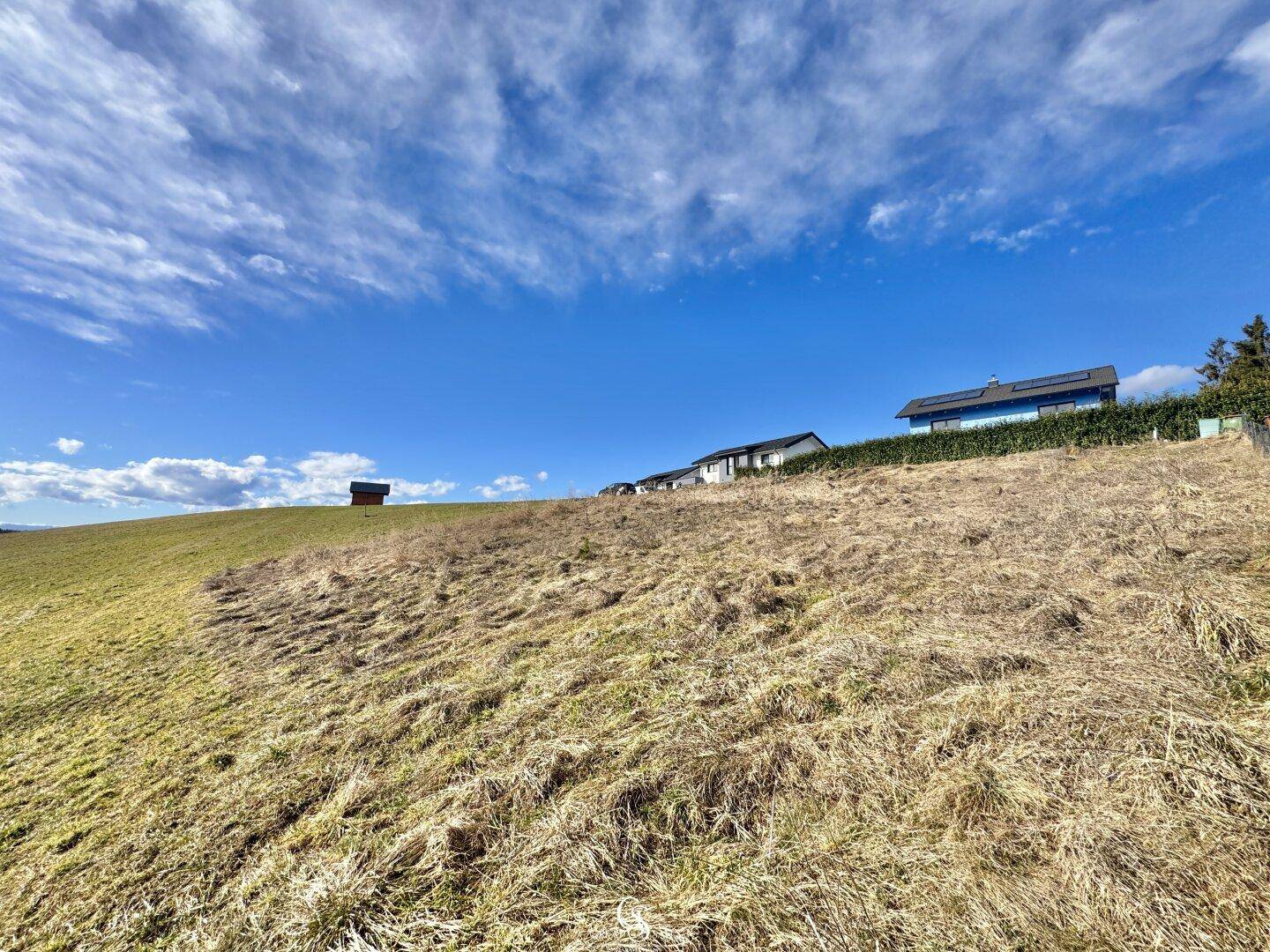 Weite Graslandschaft auf einem Hügel mit vereinzelten Häusern und einem kleinen Schuppen am Horizont.