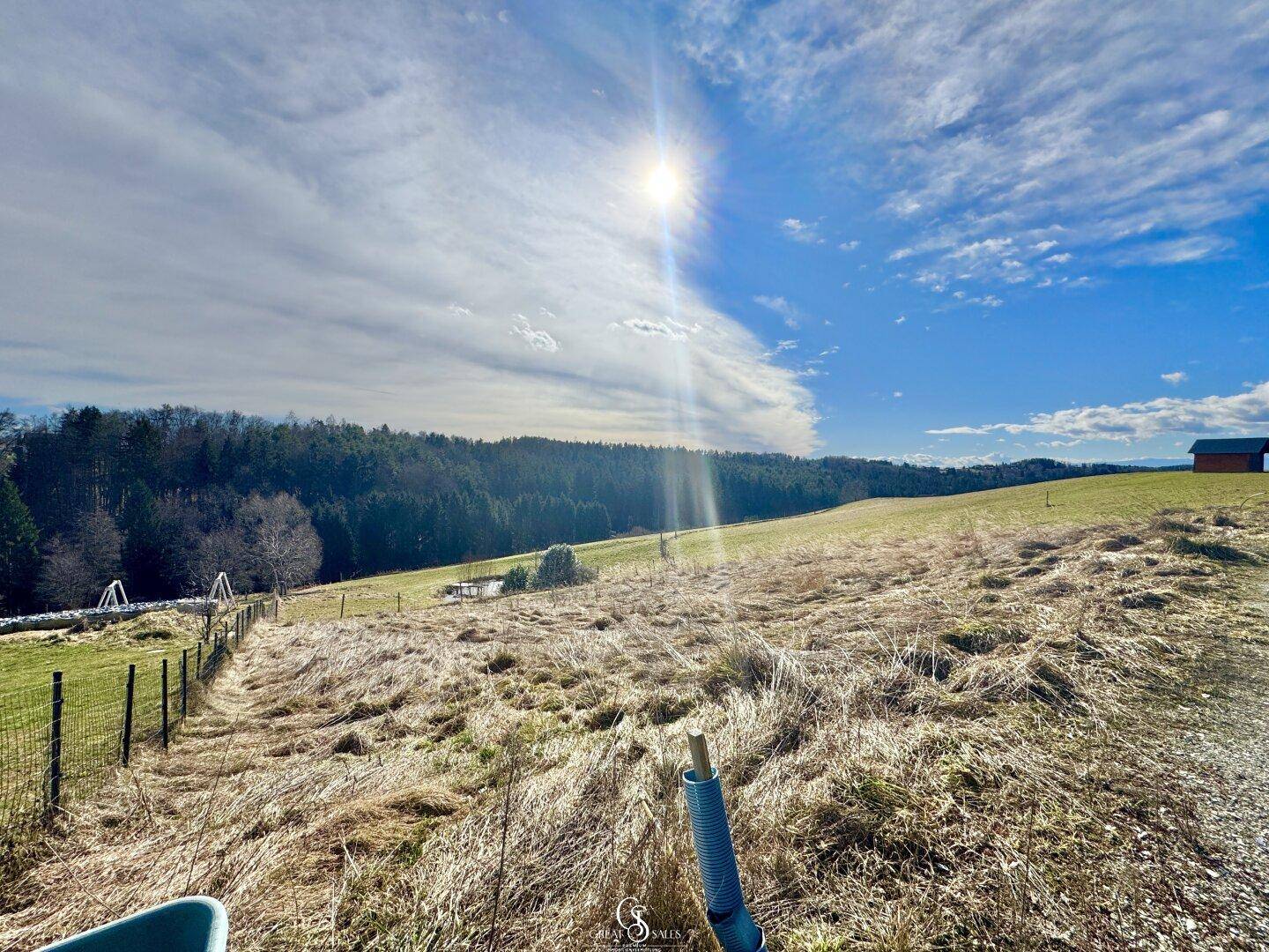 Sonnige Landschaft mit weiten Feldern, einem Waldrand und einem Zaun im Vordergrund.