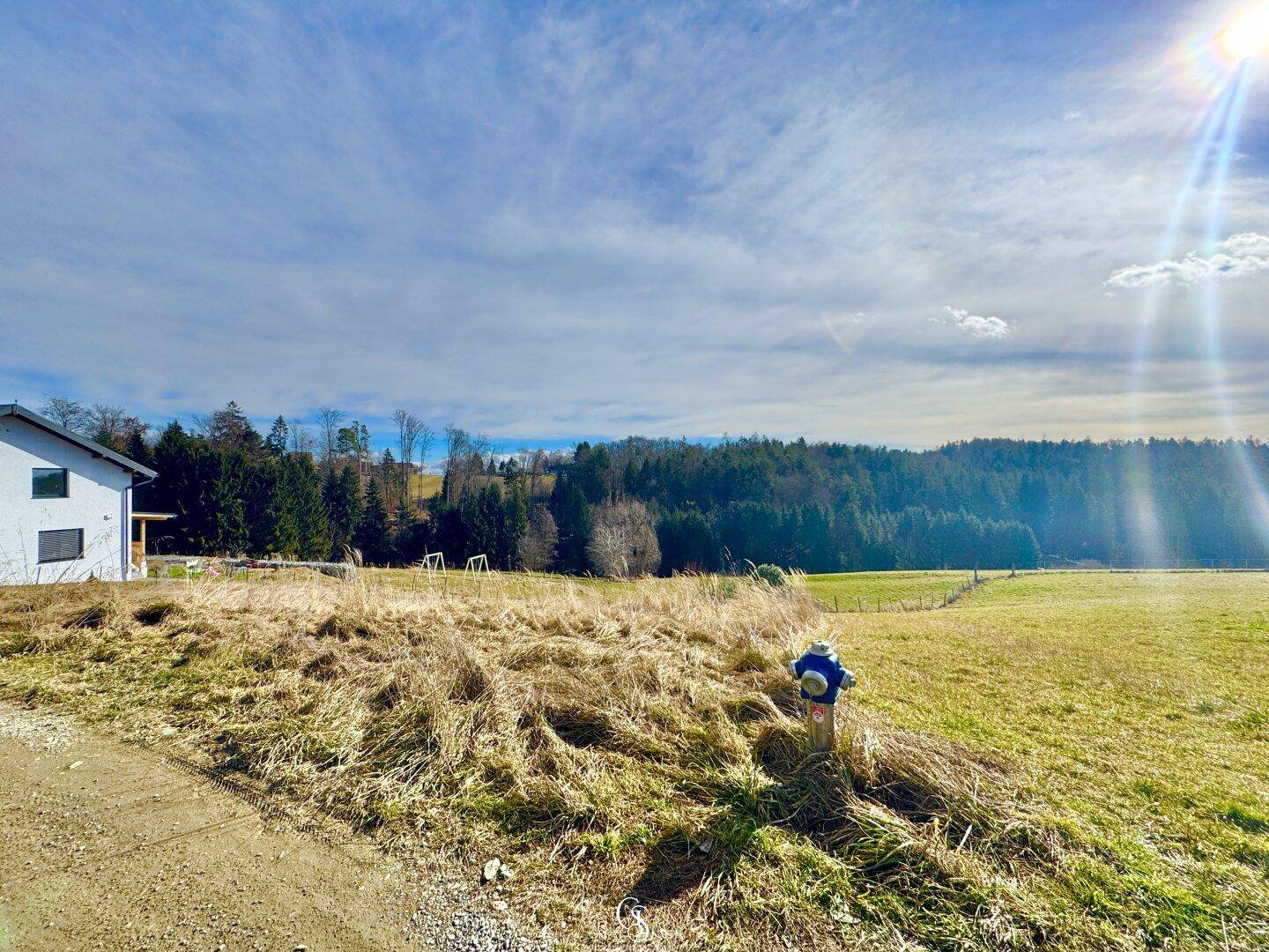 Grüne Wiesenfläche mit einem modernen weißen Haus und einem Wald im Hintergrund unter blauem Himmel.