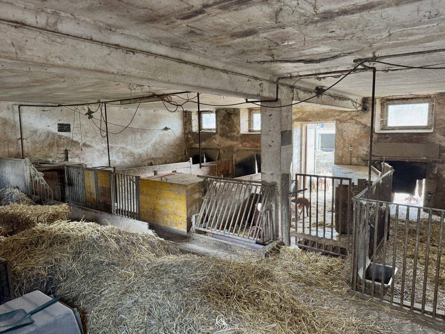 Stallbereich mit Heu und Tierboxen, typisch für einen Bauernhof.