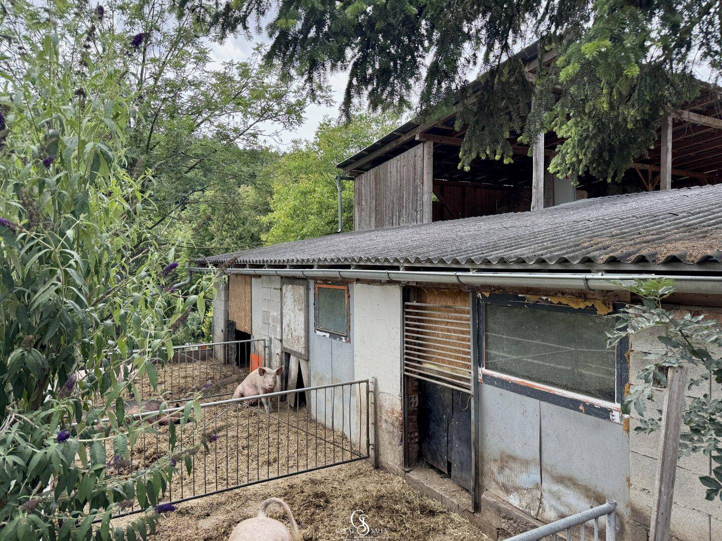 Außenbereich eines Bauernhofs mit Schweineställen und viel Grün.