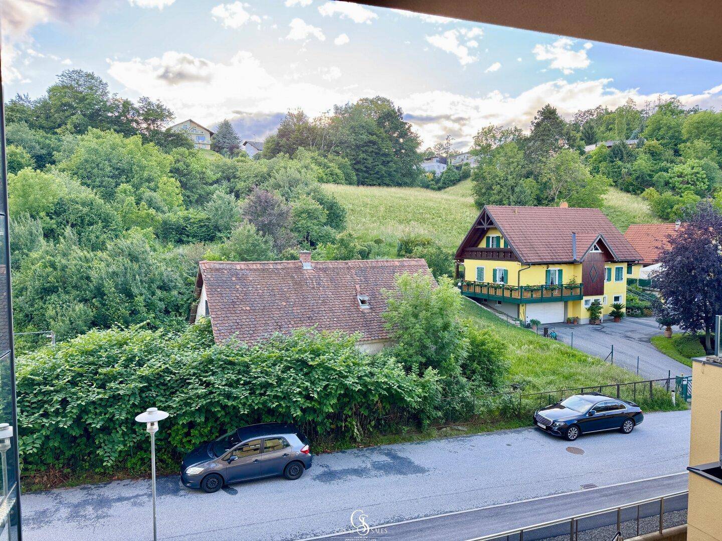 Panoramablick auf die grüne Umgebung mit Häusern und einer Straße.