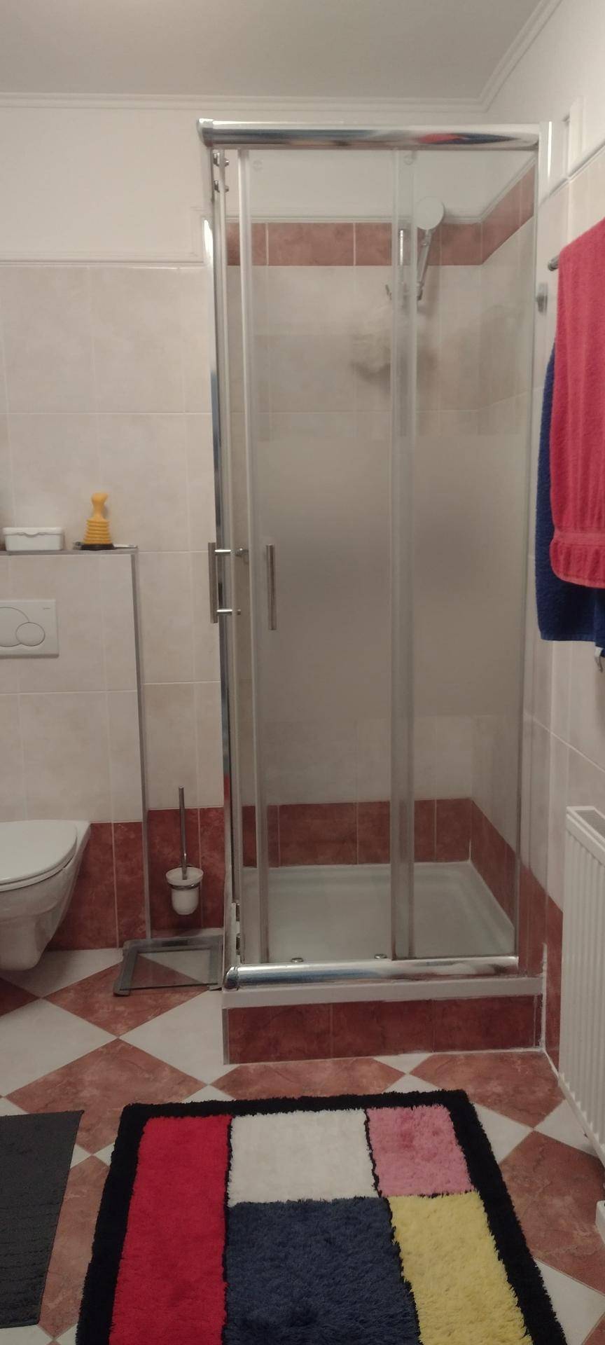 Badezimmer mit einer Duschkabine, Toilette und einem farbenfrohen Teppich auf dem gefliesten Boden.