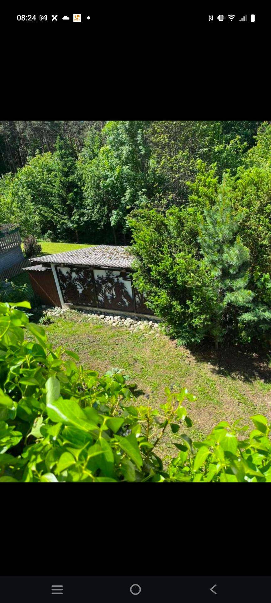 Kleines Gartenhaus umgeben von dichtem Grün und hohen Bäumen in einer natürlichen Umgebung.