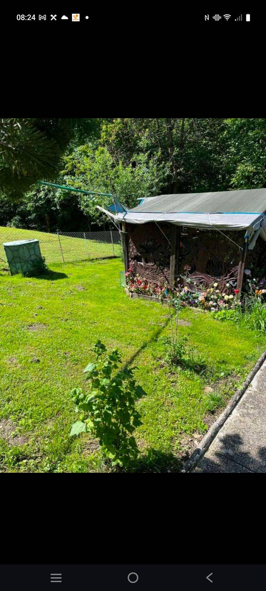 Gartenbereich mit Rasenfläche, einem kleinen Schuppen und verschiedenen Pflanzen im Freien.