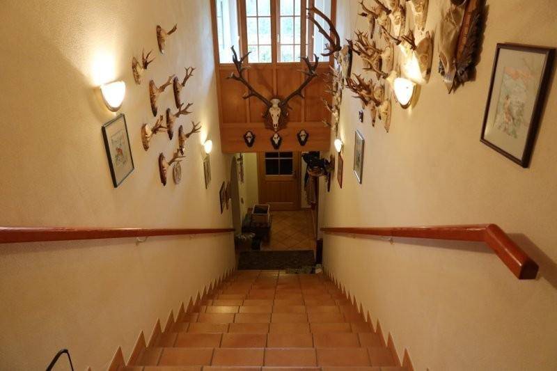 Treppenhaus mit gefliesten Stufen und einer Wanddekoration aus zahlreichen Hirschgeweihen.