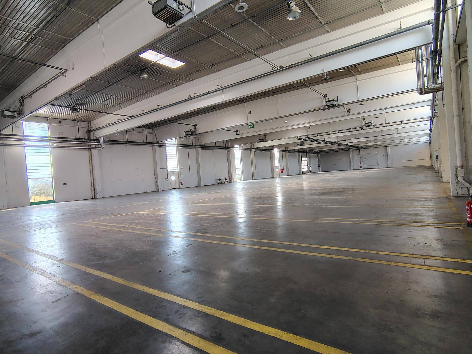 Moderne Lagerhalle mit 2701 m² und 8 m Raumhöhe ab sofort verfügbar - Ansicht 4