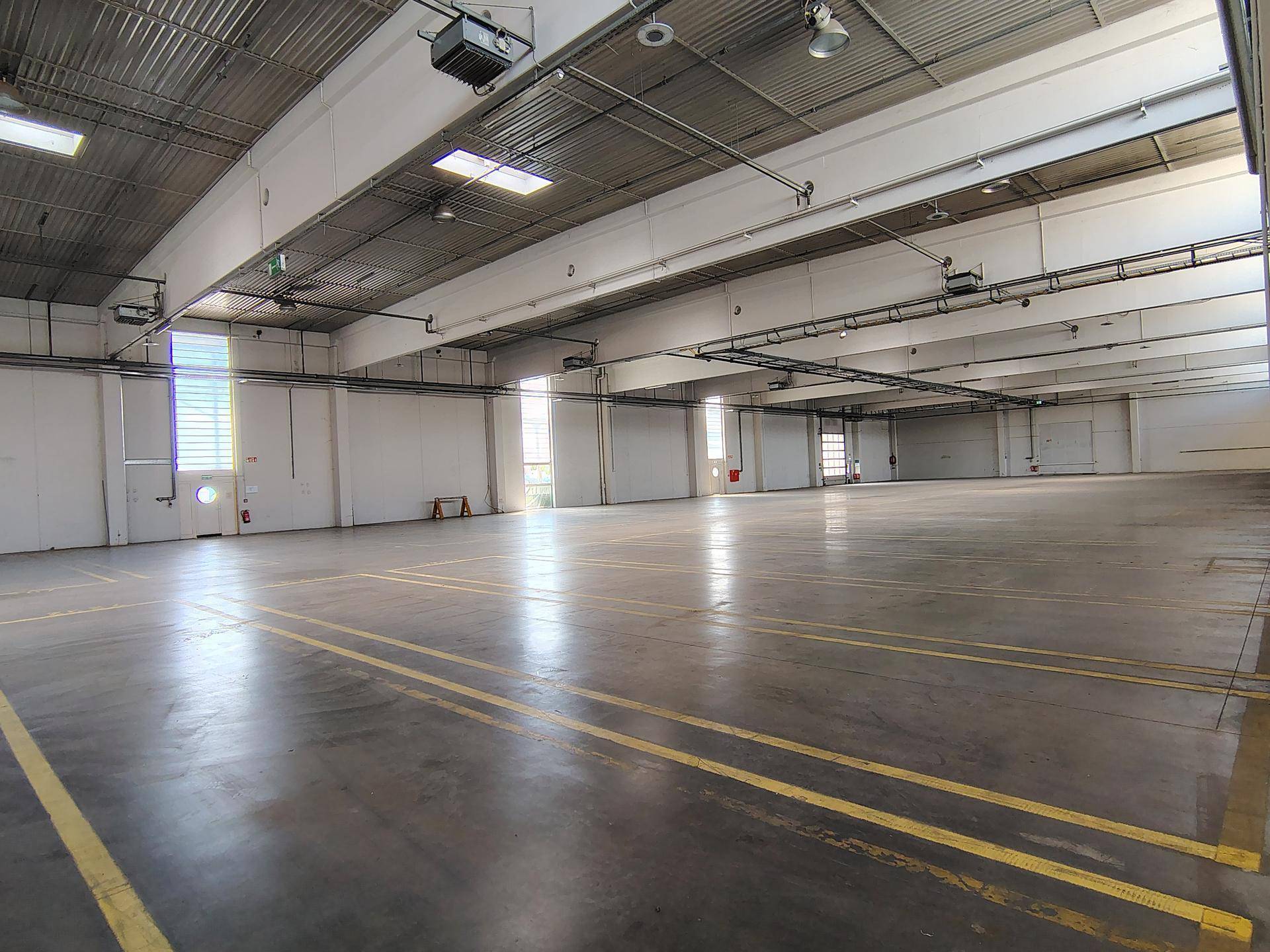 Moderne Lagerhalle mit 2701 m² und 8 m Raumhöhe ab sofort verfügbar - Ansicht 5