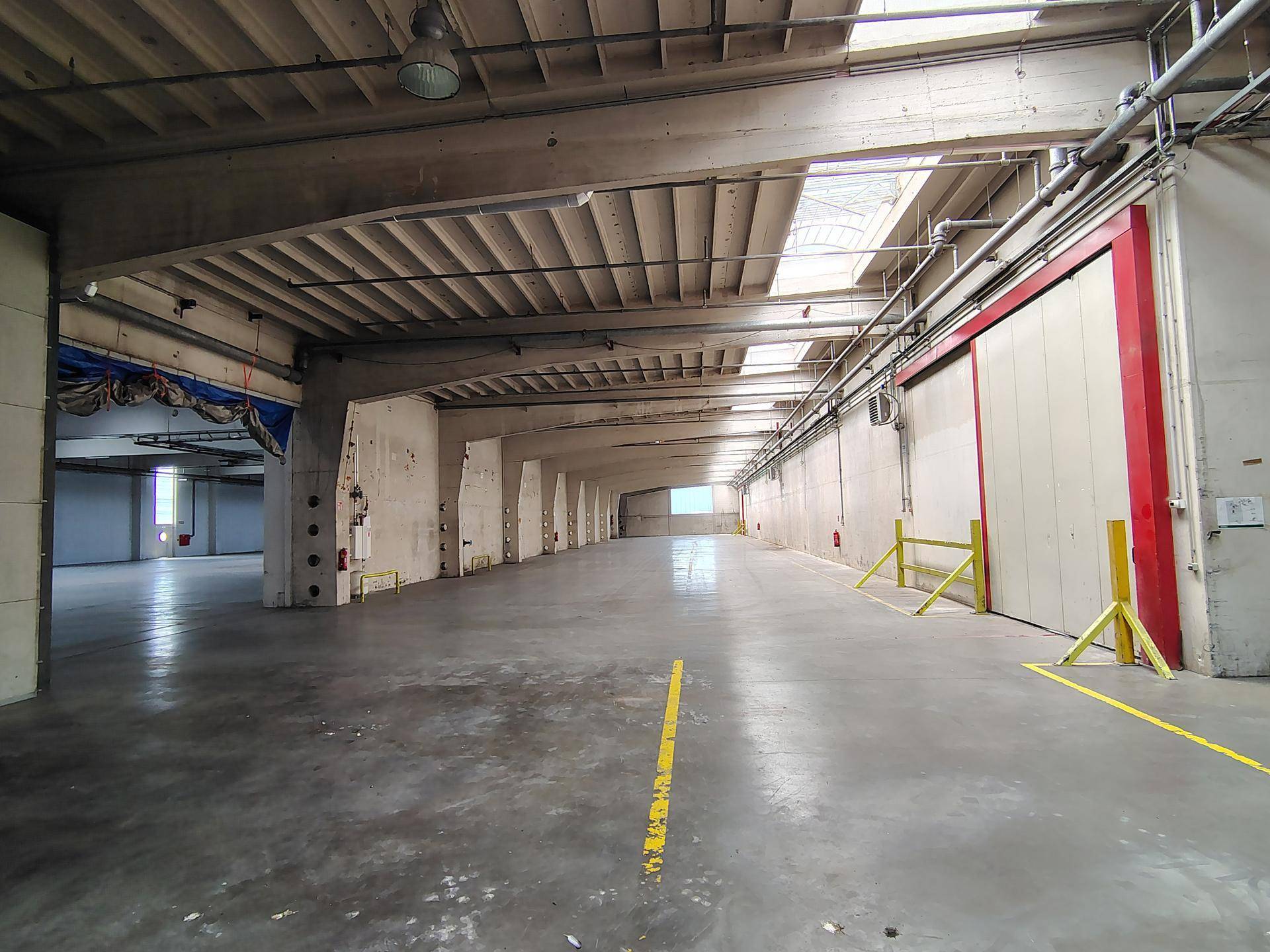 Moderne Lagerhalle mit 2701 m² und 8 m Raumhöhe ab sofort verfügbar - Mehr