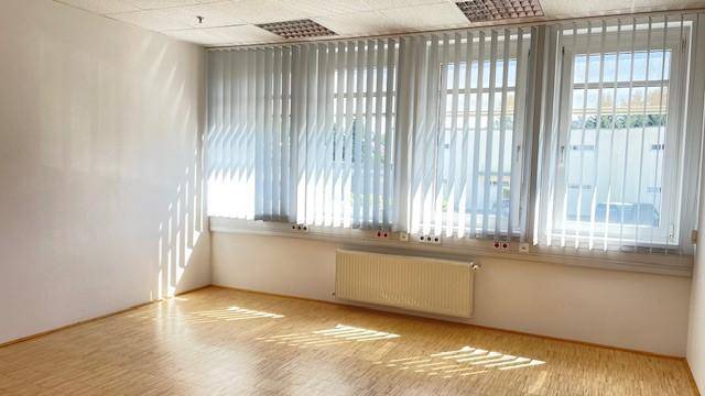 Sonniger Büroraum mit hellem Holzfußboden und großen Fenstern, die durch Jalousien gefiltertes Tageslicht bieten.