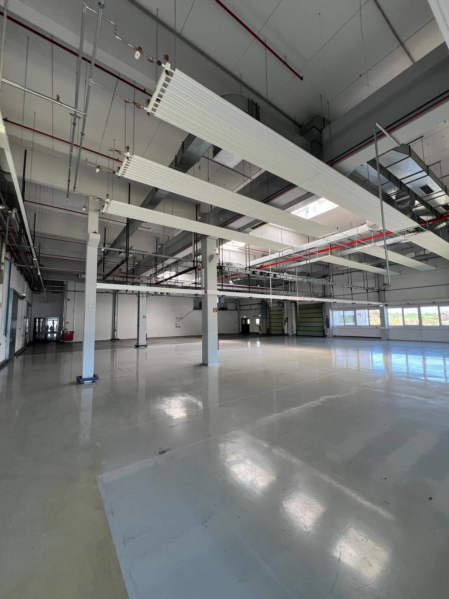 Helle Industriehalle mit vielen Säulen, hohen Decken und großen Fenstern für viel Tageslicht.
